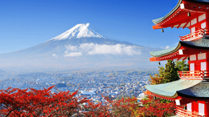 TongYan Travel