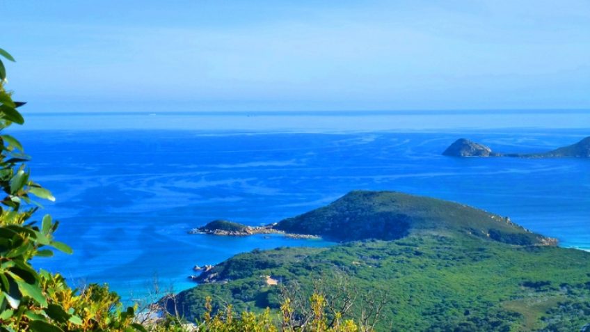 TongYan Travel
