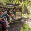 TongYan Travel