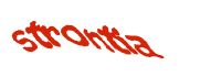 TongYan Travel
