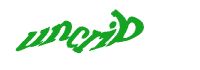TongYan Travel