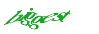 TongYan Travel