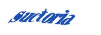 TongYan Travel