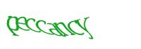 TongYan Travel
