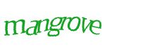 TongYan Travel