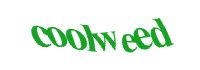 TongYan Travel