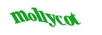 TongYan Travel