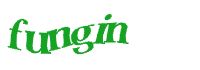 TongYan Travel