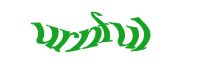 TongYan Travel