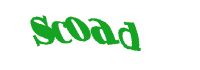 TongYan Travel