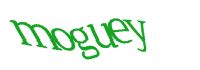 TongYan Travel
