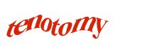 TongYan Travel