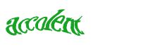 TongYan Travel