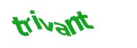 TongYan Travel