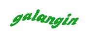 TongYan Travel