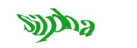 TongYan Travel