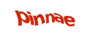 TongYan Travel