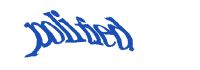 TongYan Travel