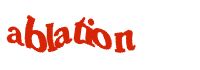 TongYan Travel