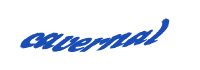 TongYan Travel