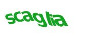 TongYan Travel